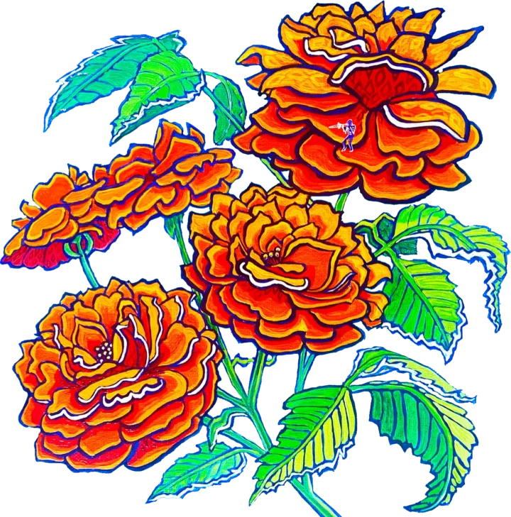 5roses