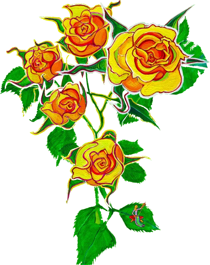 multyrose4x