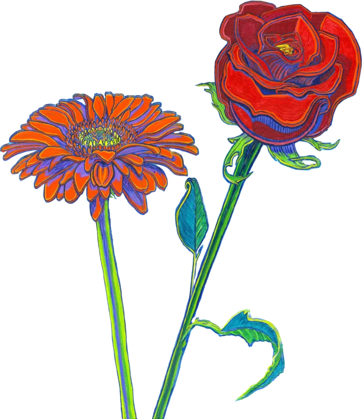 rose