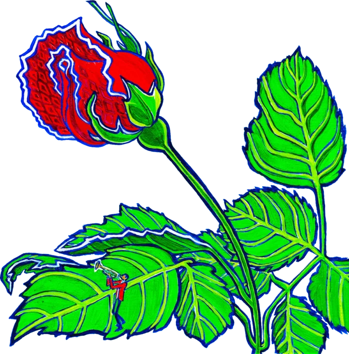 rose2blue4x
