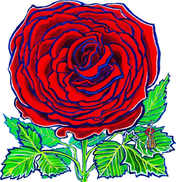 rose3blue4x